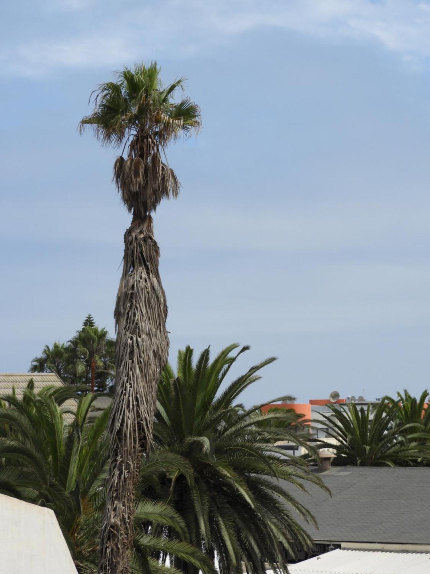 Central Self Catering Swakopmund Dış mekan fotoğraf